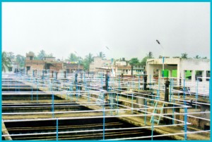 edit-pic11              